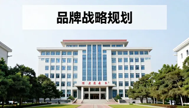 品牌战略规划中的常见问题与实际应用应对策略
