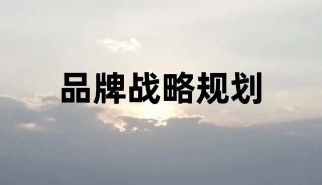 品牌战略规划中项目咨询的常见问题与应对策略